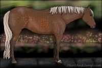 Horse Color:Silver Buckskin 