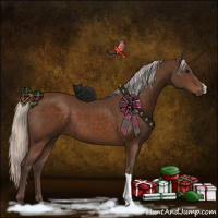 Horse Color:Silver Buckskin 