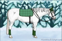 Horse Color:Silver Grullo Splash Tobiano Frame Brindle