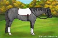 Horse Color:Blue Roan  Brindle