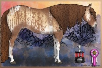 Horse Color:Chestnut Tobiano  and Red Onyx Rabicano 