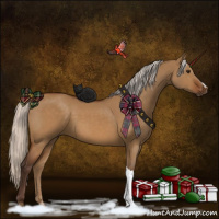 Horse Color:Silver Buckskin Dun 