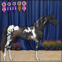 Horse Color:Smoky Grullo Tobiano  and Black 