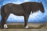 Horse Color:Smoky Black  and Smoky Black 