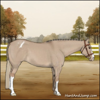 Horse Color:Red Dun Mushroom Varnish 