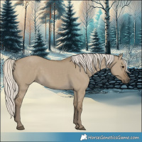 Horse Color:Silver Smoky Grullo 