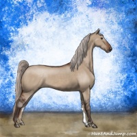 Horse Color:Silver Brown Dun 