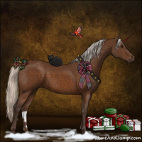 Horse Color:Silver Buckskin 