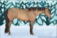 Horse Color:Amber Champagne Tobiano Brindle