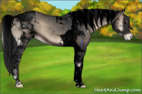 Horse Color:Void Blue Onyx Tobiano Varnish 