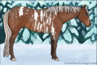 Horse Color:Silver Bay Splash Tobiano Frame  Brindle