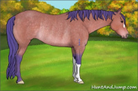 Horse Color:Watercolor Buckskin Rabicano 