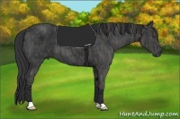 Horse Color:Black  Brindle