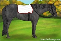 Horse Color:Black  Brindle