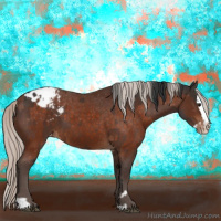 Horse Color:Brown Sabino Splash Appaloosa  and Silver Brown Sabino Splash Appaloosa 