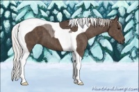 Horse Color:Silver Black Tobiano Brindle