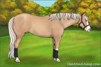 Horse Color:Silver Classic Champagne Splash  Brindle