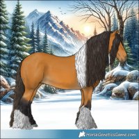 Horse Color:Buckskin Tobiano 