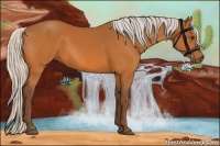 Horse Color:Silver Buckskin 