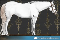 Horse Color:White Spotted Liver Chestnut Pearl Varnish 