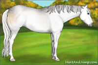 Horse Color:Gray Silver Smoky Blue Onyx Splash 