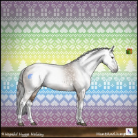 Horse Color:Gray White Spotted Liver Red Dun