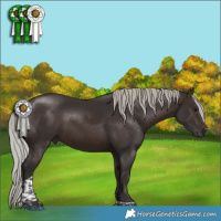 Horse Color:Silver Brown Tobiano 