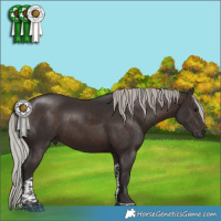 Horse Color:Silver Brown Tobiano 