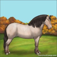 Horse Color:Amber Champagne Roan 