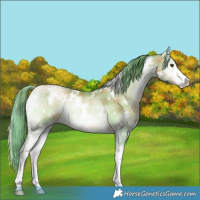 Horse Color:Watercolor Plaid  White Spotted Liver Red Onyx Pearl Sabino Rabicano 