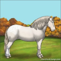 Horse Color:Smoky Creme Roan Appaloosa