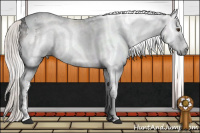 Horse Color:Gray Silver Buckskin Sabino Splash Tobiano 