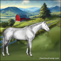 Horse Color:Gray Brown Sabino 