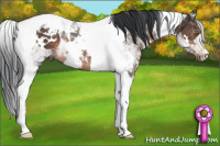 Horse Color:White Spotted Brown Tobiano 