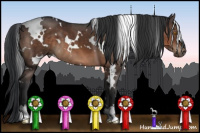 Horse Color:White Spotted Brown 