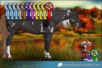 Horse Color:White Spotted Liver Chestnut Tobiano 