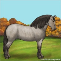 Horse Color:Smoky Grullo Roan