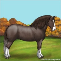 Horse Color:Liver Red Roan Splash 