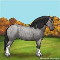 Horse Color:Grullo Roan Tobiano