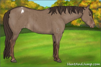 Horse Color:Liver Red Dun Varnish Brindle 
