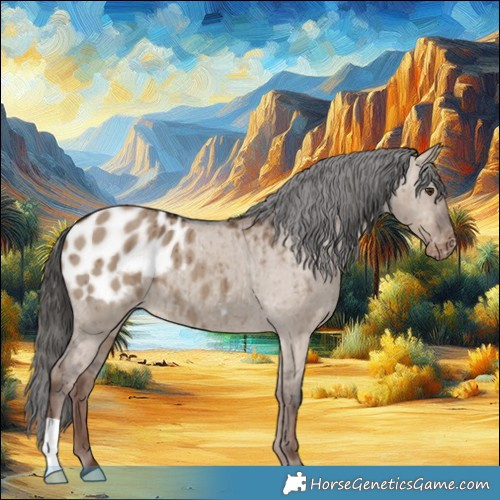 Horse Color:Liver Red Dun Appaloosa Brindle 