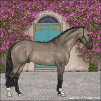 Horse Color:Brown Dun Brindle 
