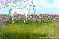 Horse Color:Gray Buckskin Dun 