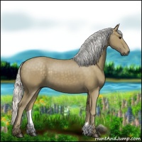 Horse Color:Silver Smoky Black 
