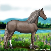 Horse Color:Silver Black 