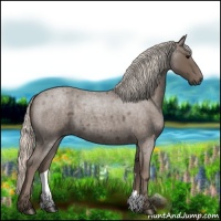 Horse Color:Silver Blue Roan