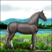 Horse Color:Silver Black 