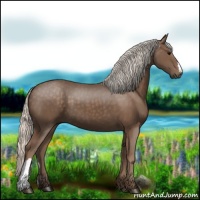 Horse Color:Silver Black 