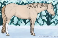 Horse Color:Perlino 