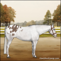 Horse Color:Liver Red Dun Mushroom Varnish Brindle 
